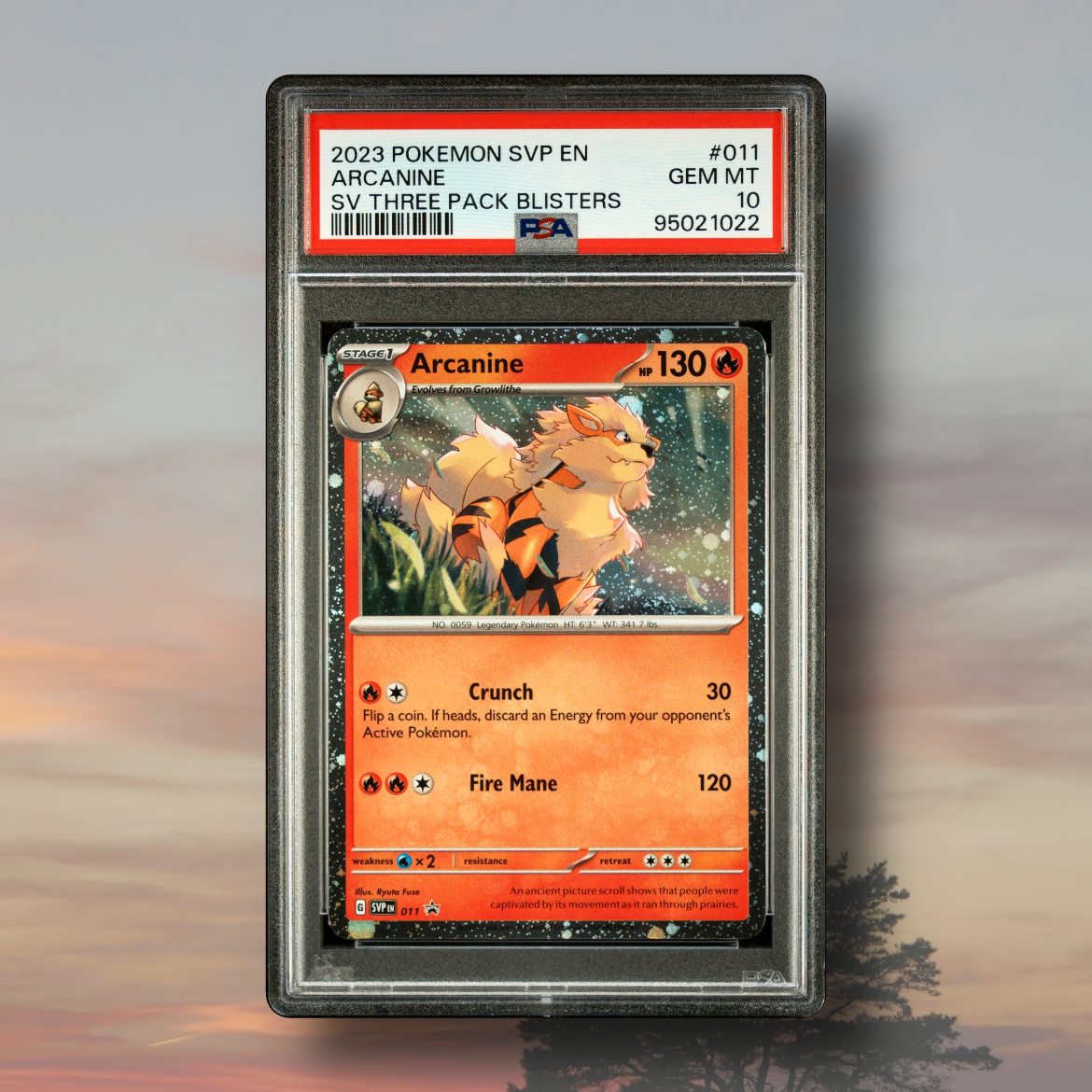 Arcanine Cosmos Holo PSA 10 - Scarlet Violet SVP 011 Blister Arcanine Cosmos Holo PSA 10 - Scarlet Violet SVP 011 Blister