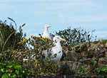 small-island-treasures