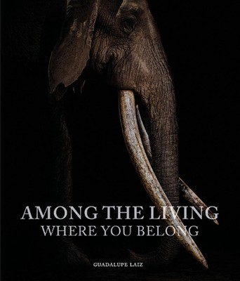 Among the Living: Where You Belong by Guadalupe Laiz Hardcover Book