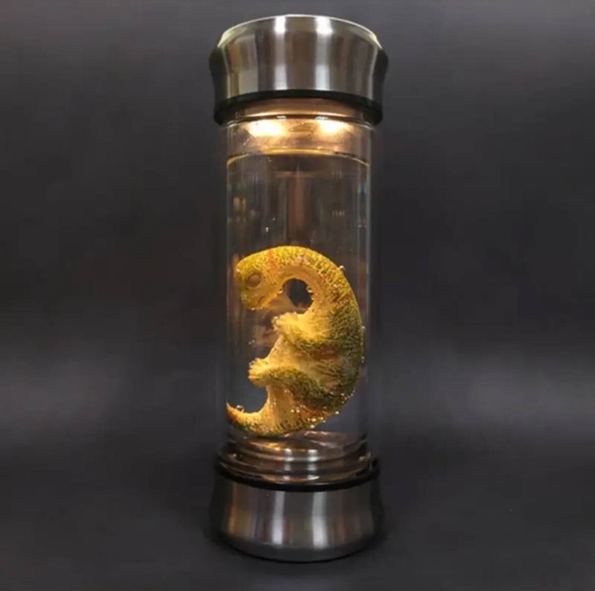 USA Jurassic Park Dinosaur Embryo Jar World Velociraptor Blue Embryo Prop Alien