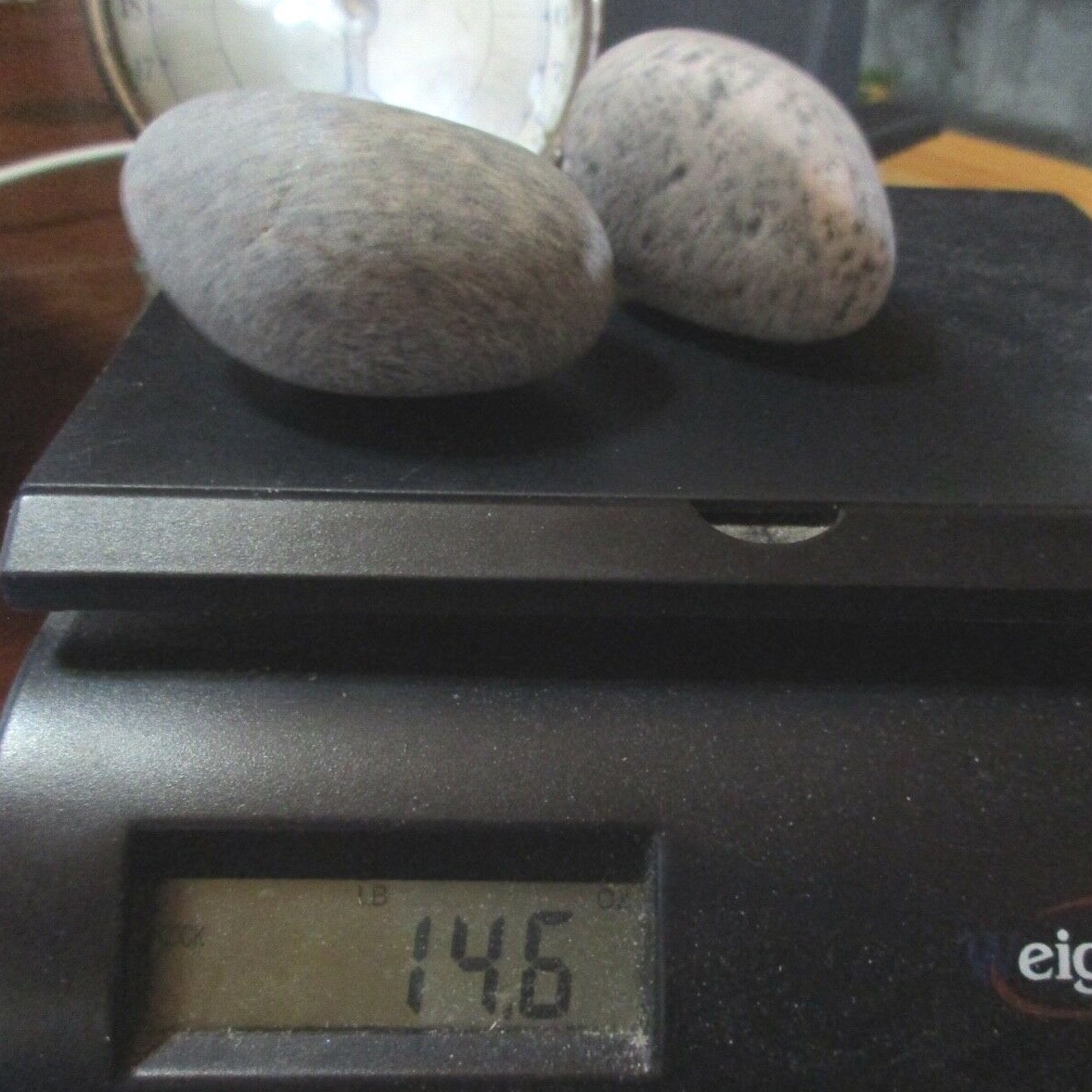 2 Yooperlite Lake Superior Rocks Stones  14.6 ounces Glows under UV light (46 )