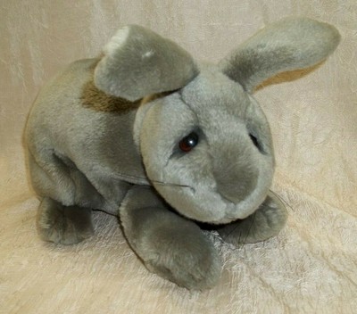 dakin bunny