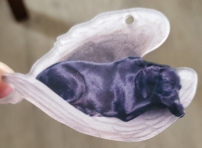 Artikelfoto(s) von einem verifizierten Käufer
