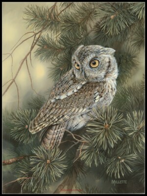 Charts Needlework DIY - Counted Cross Stitch Patterns - Screech Owl