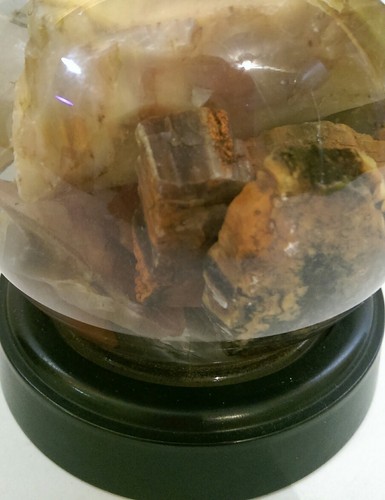 VINTAGE PETRIFIED WOOD SOUVENIR SNOW GLOBE W/ WATER