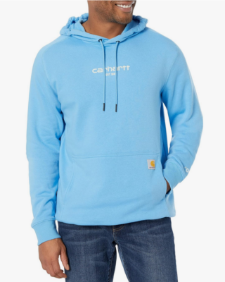 Carhartt lightweight cheap hoodie