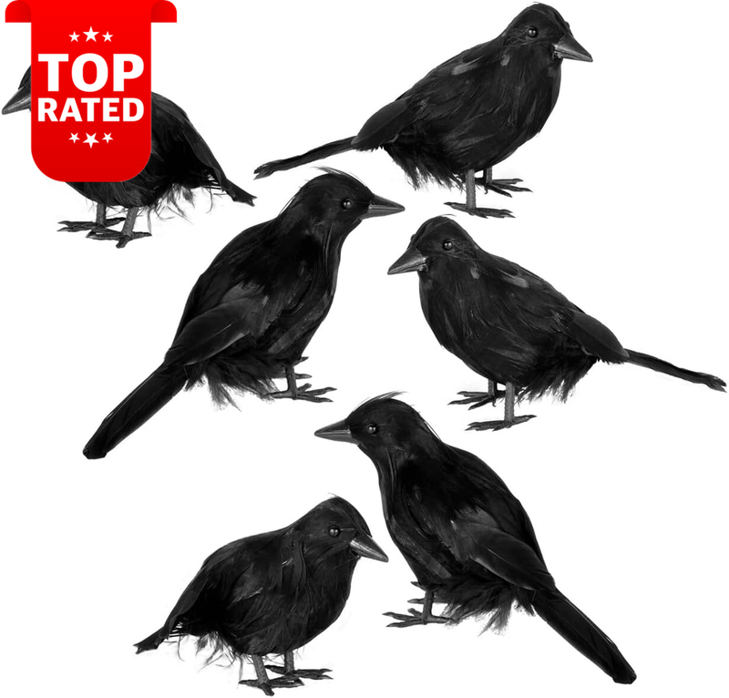 6 Pcs Black Crow Raven Halloween Decor Indoor Outdoor Yard Props Party Favors