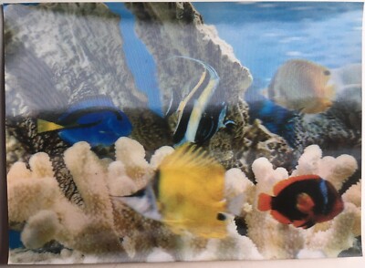 Vintage 3D Lenticular Postcard Fishes
