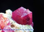 mineralsdream07
