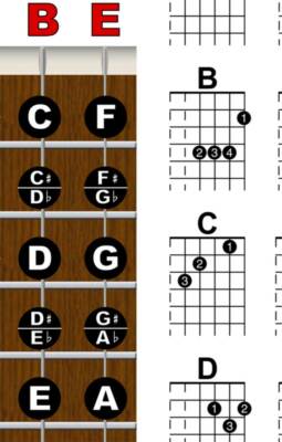 LAMINATED Guitar Fretboard Chord Chart Instructional Poster Beginner Chords 
