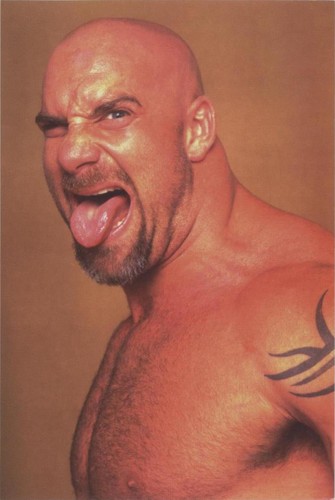 WCWフォトカードセット Lot 28 WCW/NWO Superstars Photocard Pack (1998 Panini) NEW