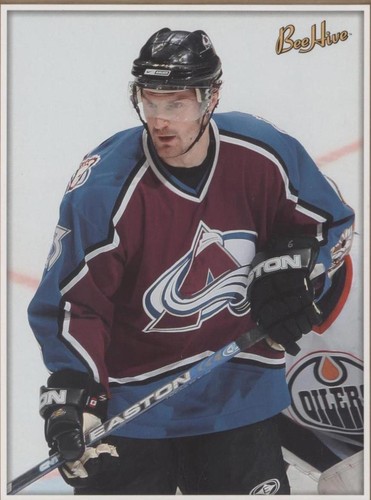 2006-07 Upper Deck Bee Hive - Milan Hejduk #214
