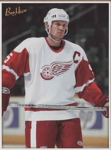 2006-07 Upper Deck Bee Hive - Nicklas Lidstrom #206