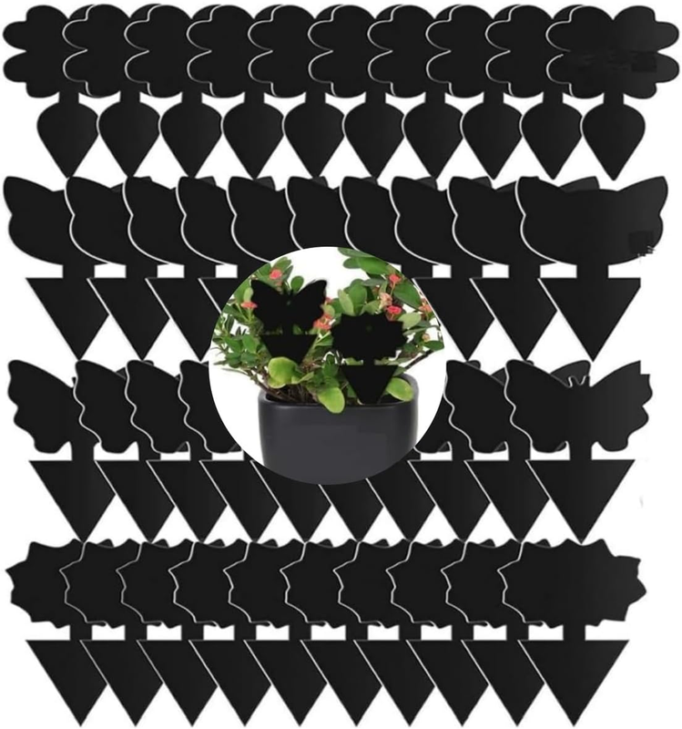 100 Pack Black Sticky Traps, Dual-Sided Insect Catcher for Fruit Fly, Gnat, Whit