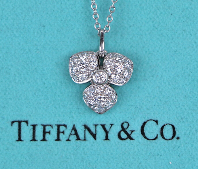 Tiffany 2024 platinum chain