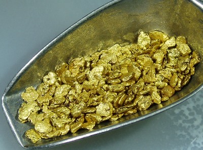 natural gold nugget placer mining paydirt dredge .