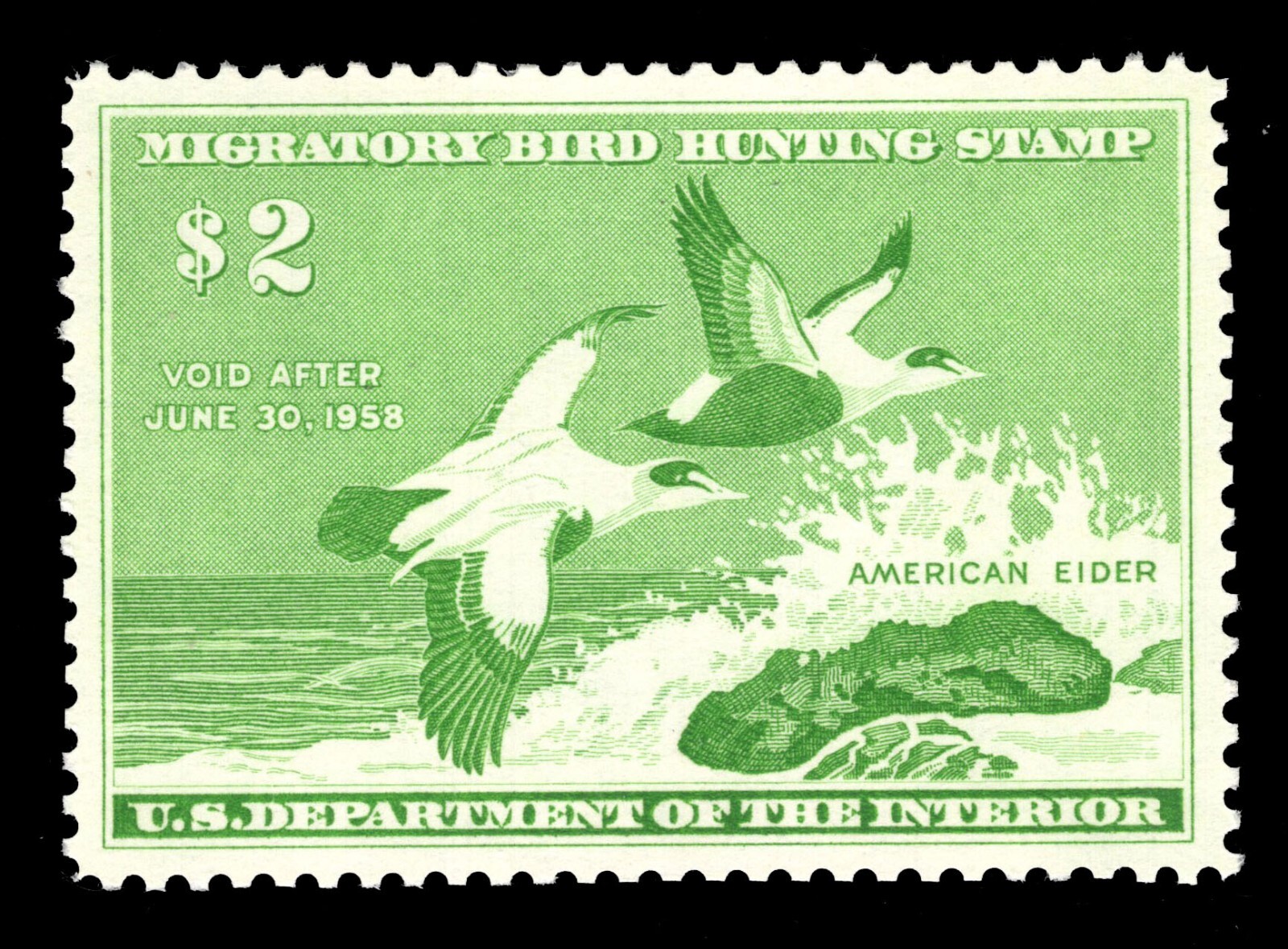 ダックさん MOMEN: US STAMPS #RW24 DUCK MINT OG NH PSE GRADED CERT XF