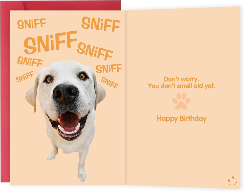 Funny Birthday Cards for Men Women, Hilarious Birthday Gifts for Family Friends
