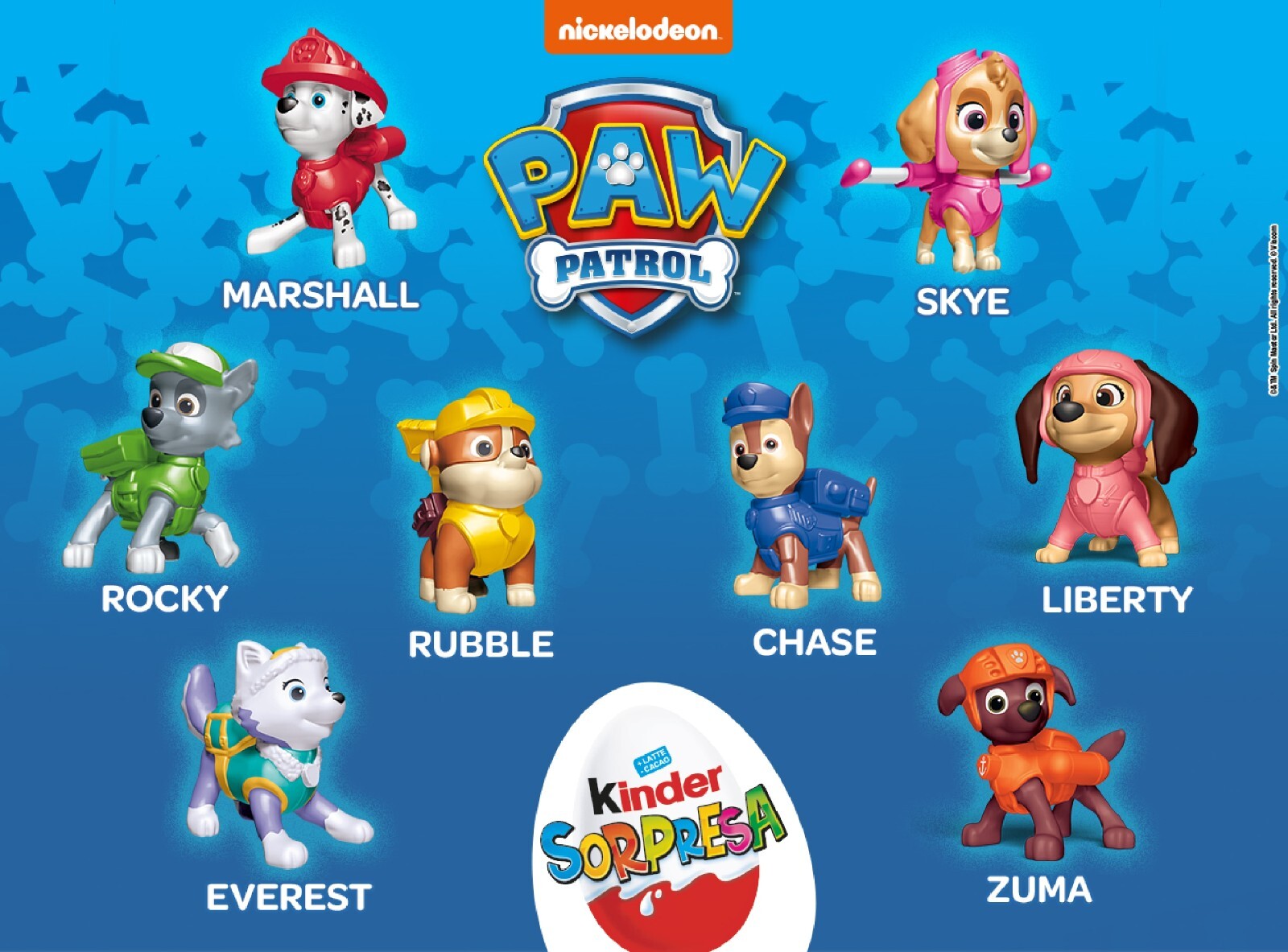 Paw Patrol Choose Your Figure (VQ331 - VD362) Kinder