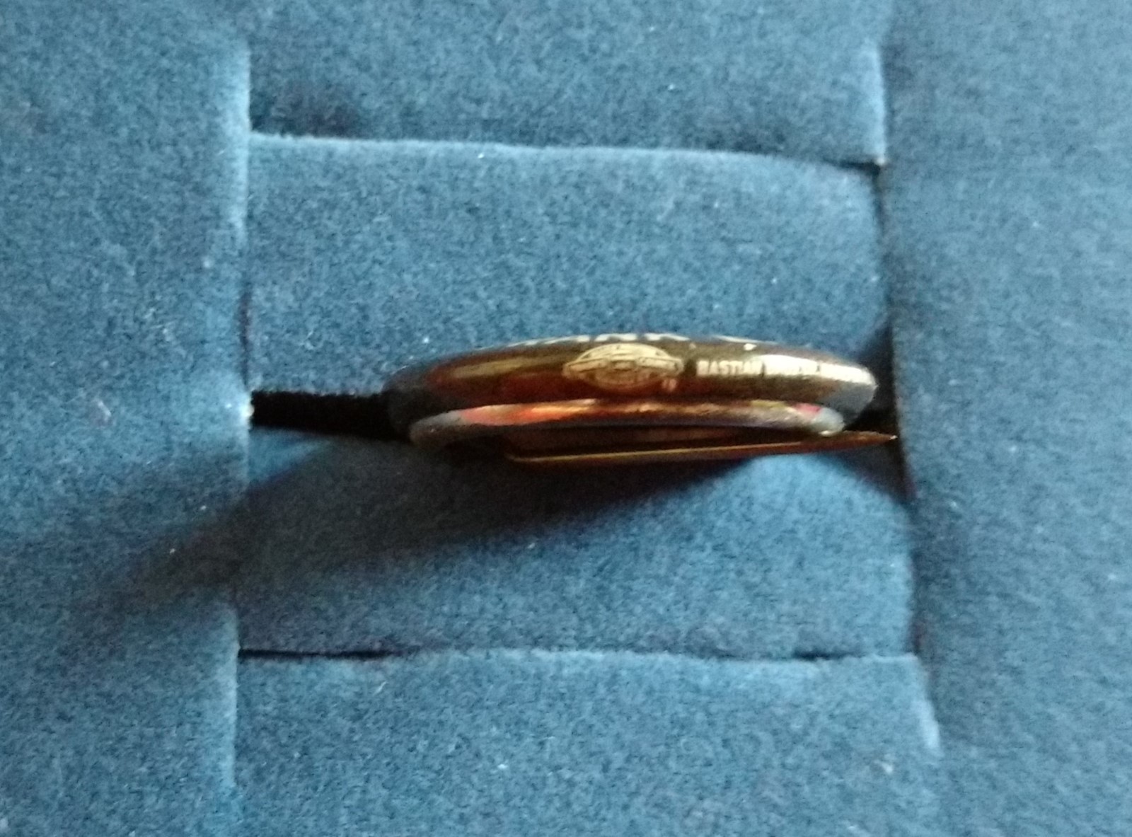 Newspaper Magnates/Politicians Campaign Pin Lot W R Hearst & F E Gannett