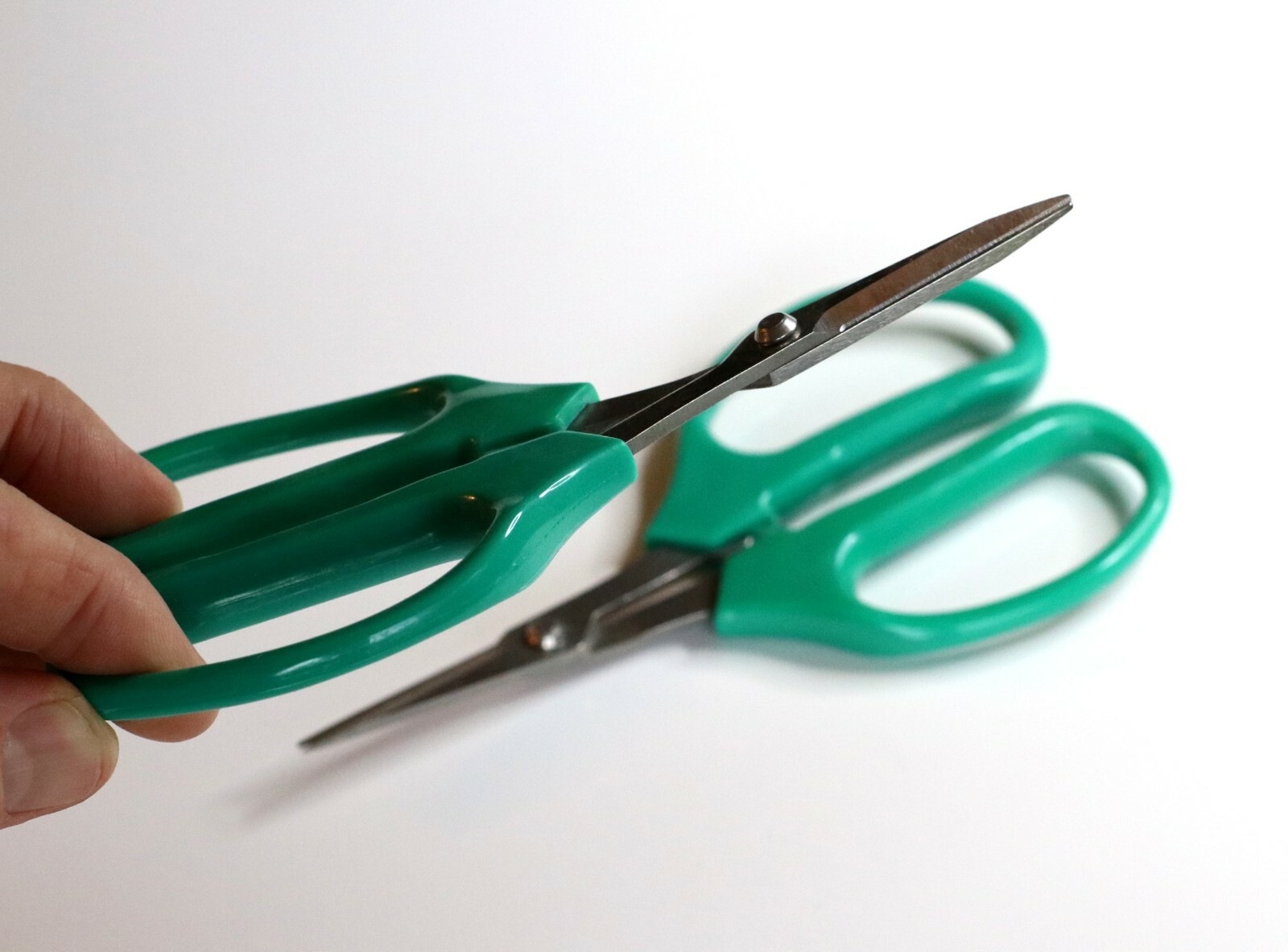 Bud Trimming Scissors by PRO 420 2 pack PRUNING TRIMMING HARVEST