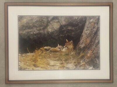 Thomas Mangelsen  "Mother's Love - Mountain Lions"  Signed 