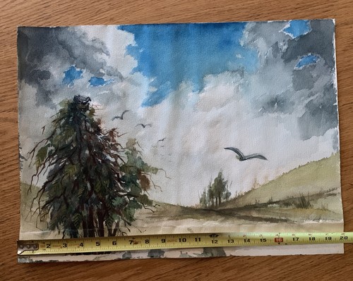 Original Watercolor Painting 15”x20” Signed By Artist On