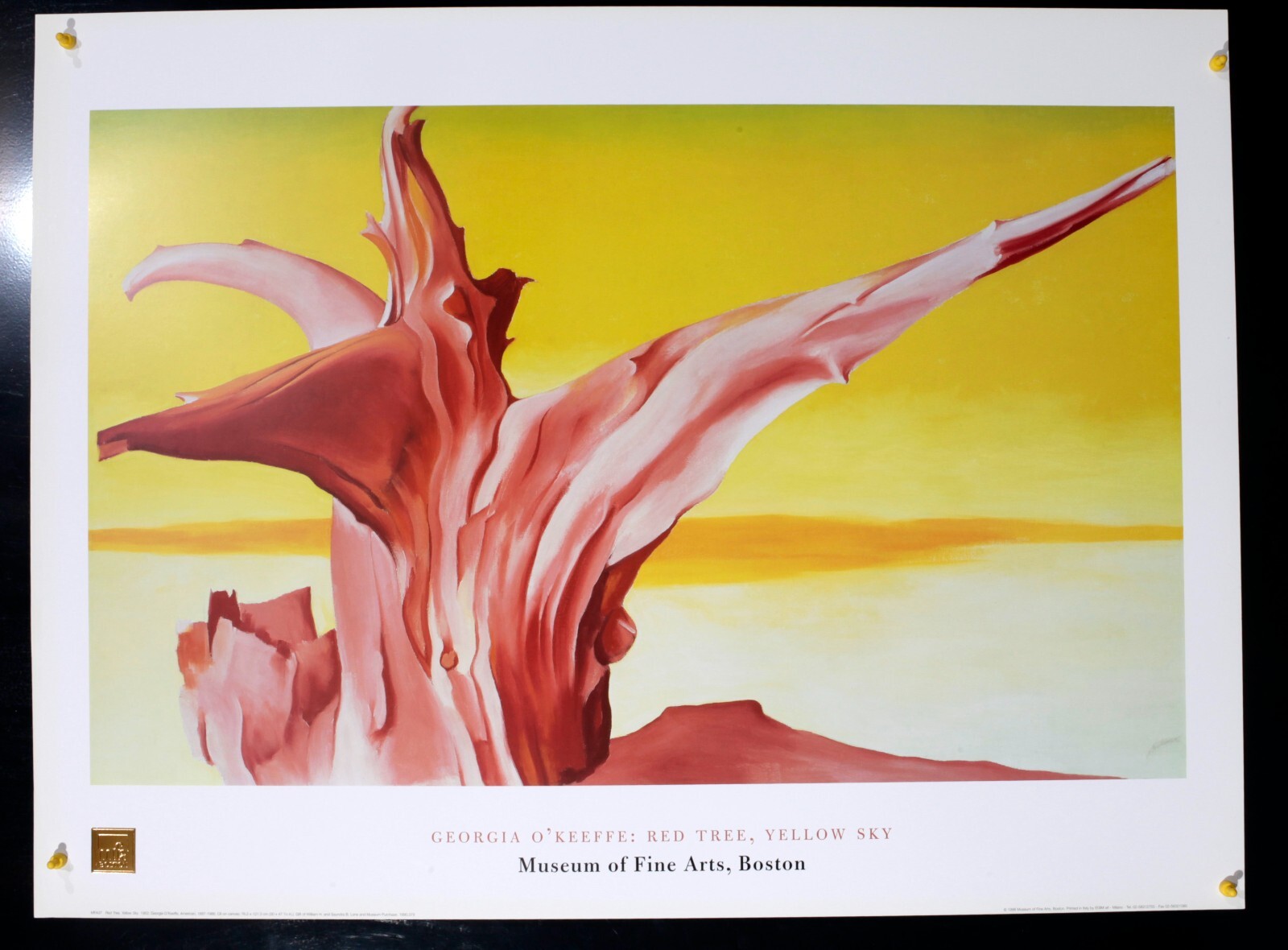 IA O'KEEFFE ポスター Georgia O Keeffe Exhibition