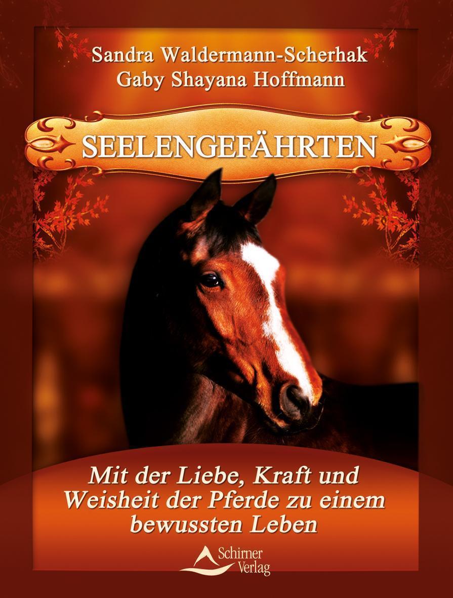 Standardbild