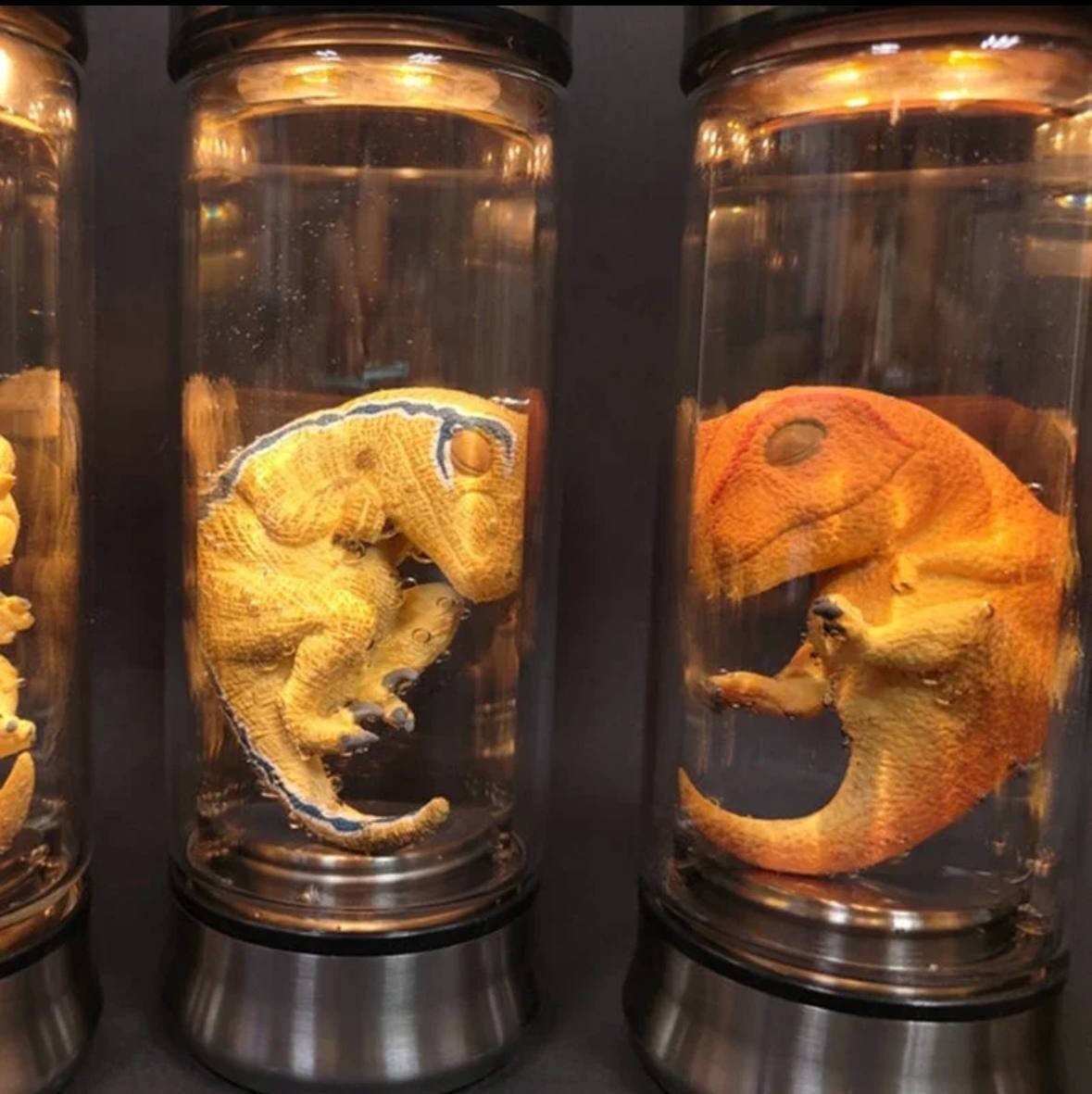 USA Jurassic Park Dinosaur Embryo Jar World Velociraptor Blue Embryo Prop Alien