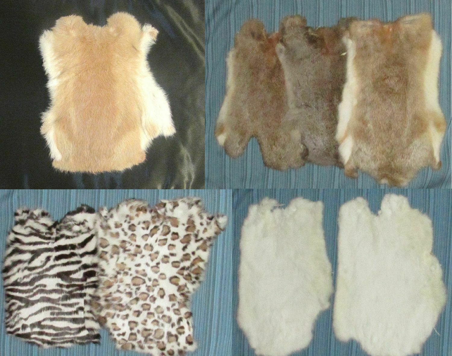 Rabbit pelt natural, white, imprinted, tan. Soft genuine pelt/hide.