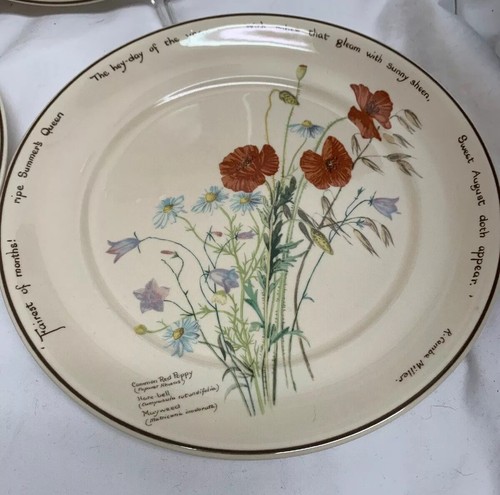 Lot of 3 Noritake The Country Diary Of An Edwardian Lady 10” Dinner Plate Holden