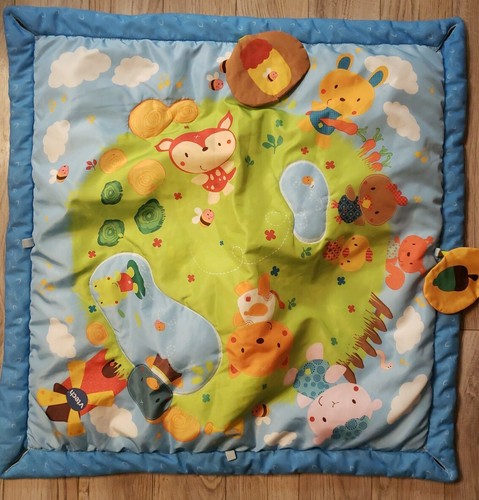 vtech baby play mat