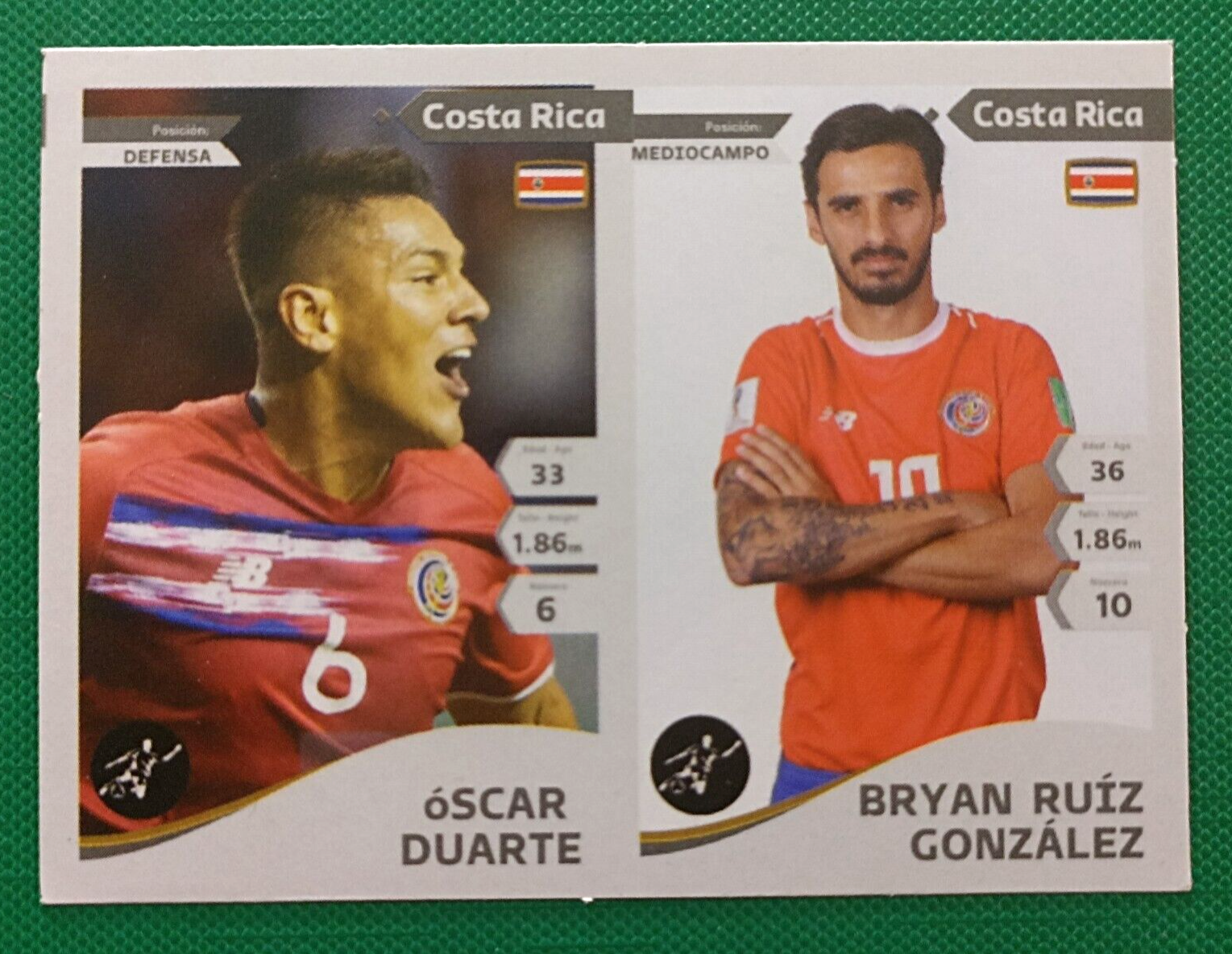 楽天市場】【国内未発売】PANINI Adrenalyn XL World Cup Qatar