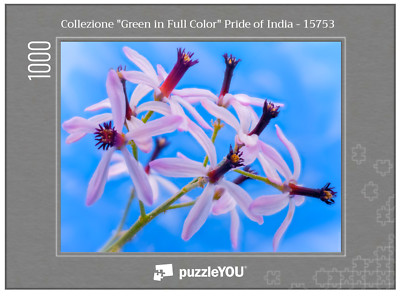 Puzzle fiori 1000 pz, Pride of India - 15753, immagini d'autore, natura