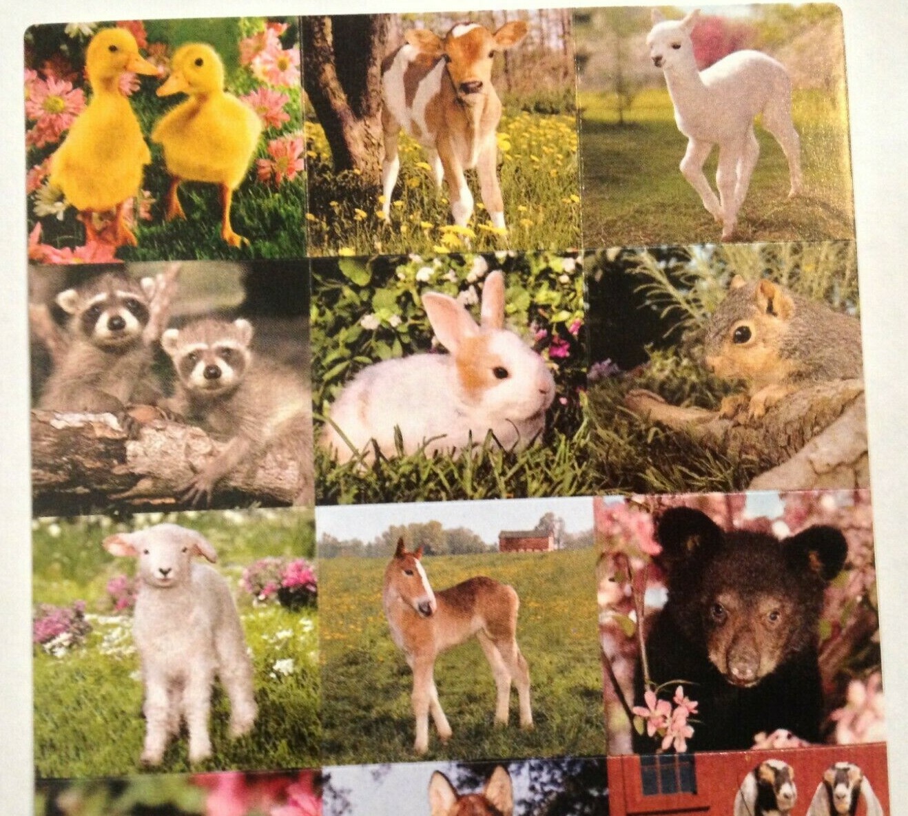 SH1:  American Greetings Stickey-Doo-Da Baby Animals Stickers - Spring, Easter