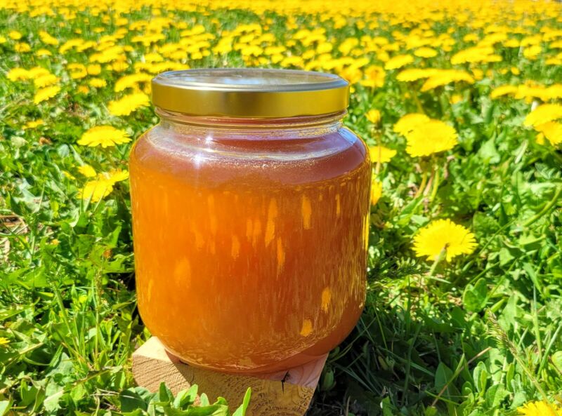100% Pure Raw Honey with Dandelion! - Now in Glass! - 5 LBS 