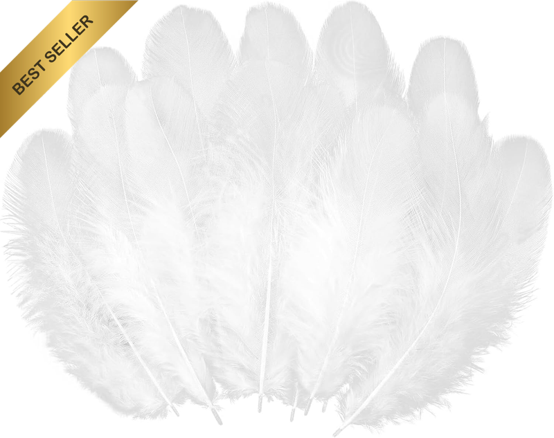Feathers Bulk, Natural White Goose Craft Feathers for Crafts & Crafting, Fluffy