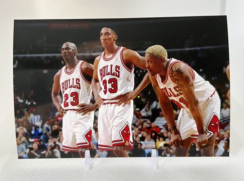 400%のみ BE@RBRICK Dennis Rodman Pippen Medicom BE@RBRICK NBA Dennis Rodman 100% 400% Bearbrick