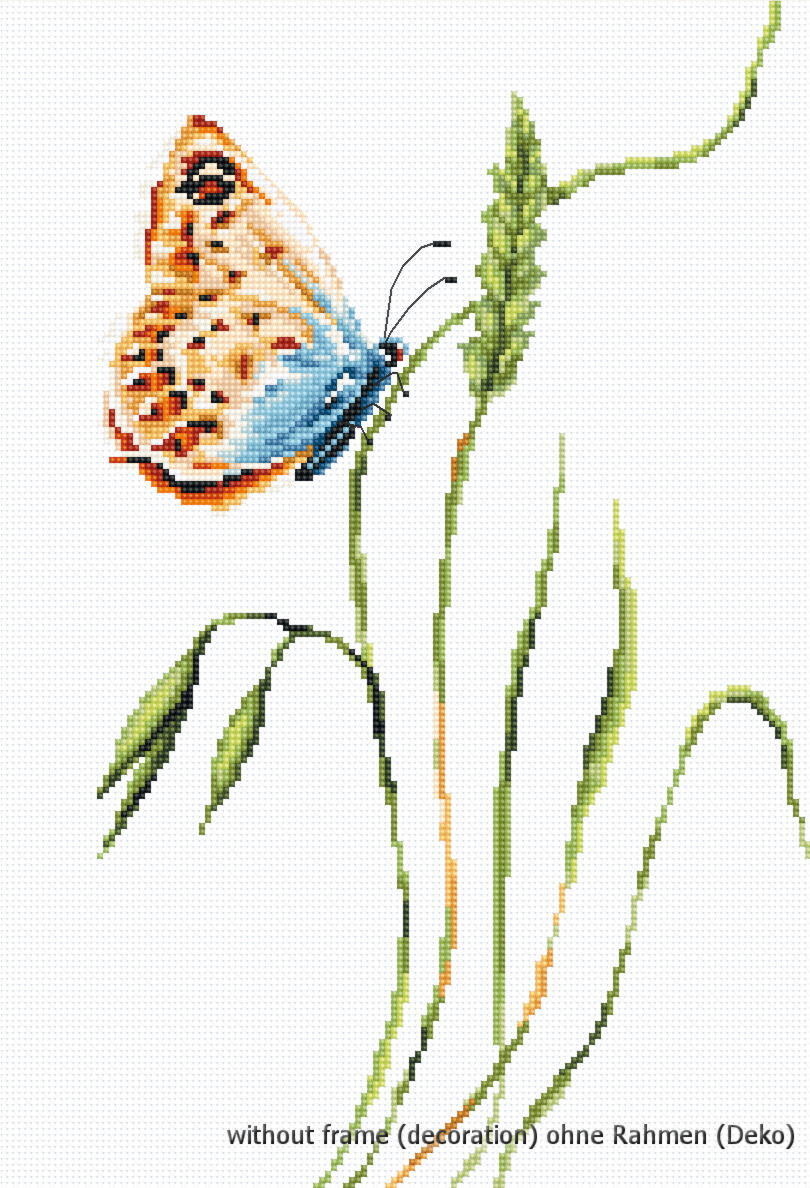 Luca-S counted Cross Stitch kit 