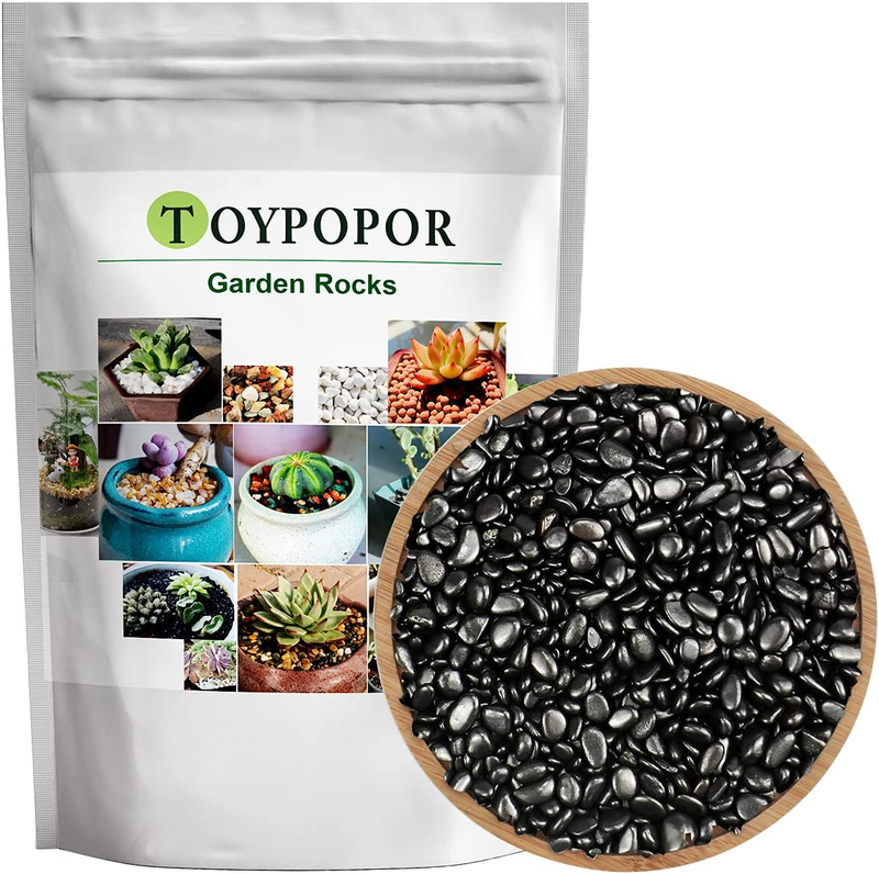 Black River Rocks, 2Lb 6-9Mm Natural Polished Pebbles, Small Decorative Indoor P