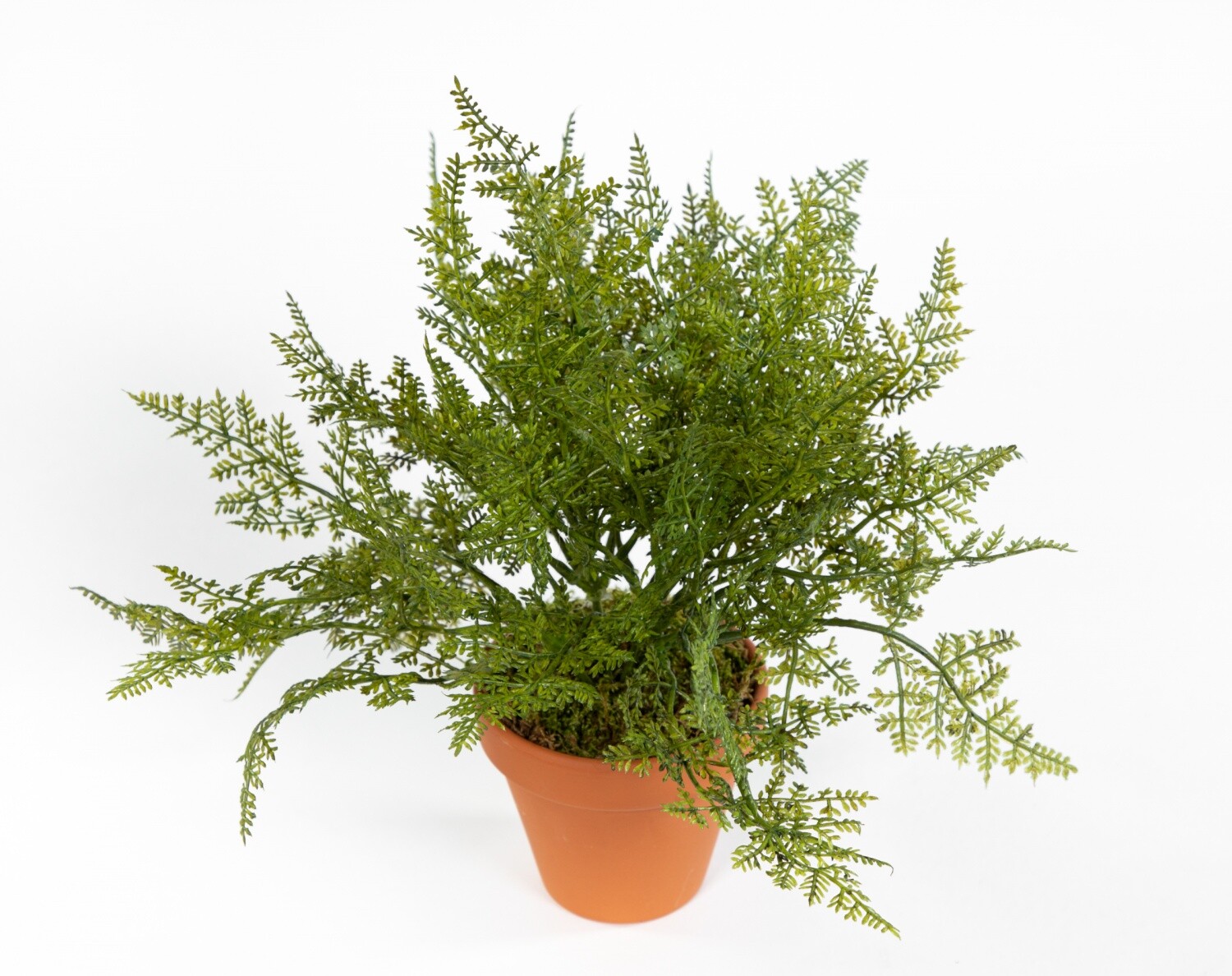 Farnbusch 26cm im Topf FI Kunstpflanzen künstlicher Farn Farnbusch Farnpflanze