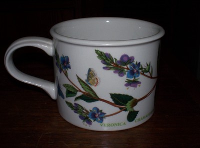 Portmeirion Botanic Garden 1972 Speedwell Flat Drum Cup