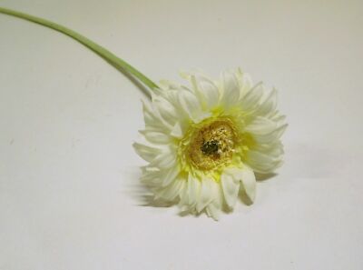 Gerbera Kunst Blume Kunstblume künstlich 53 cm 124913-07 creme weiß F11