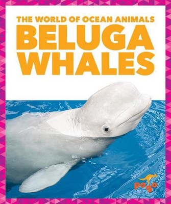 Beluga Whales by Mari C. Schuh (English) Hardcover Book