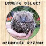 hedgehog_rescue