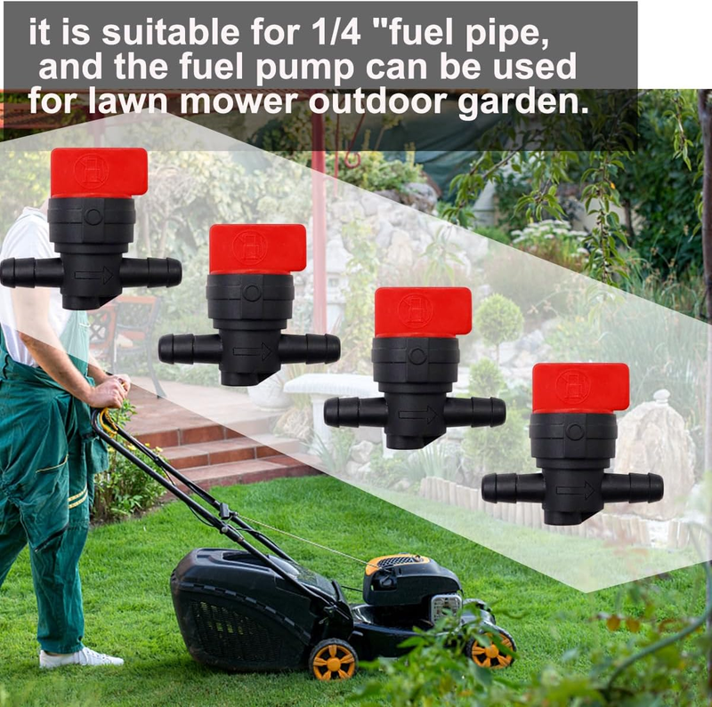 Picture 4