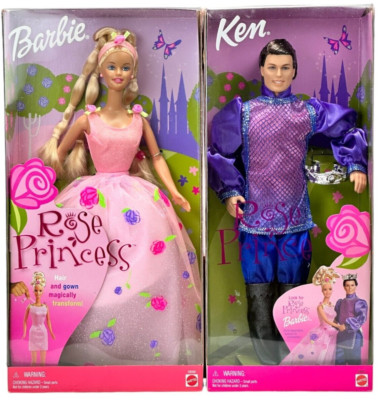 barbie rose princess 2000 mattel inc transform with hair and outfit 166598691183