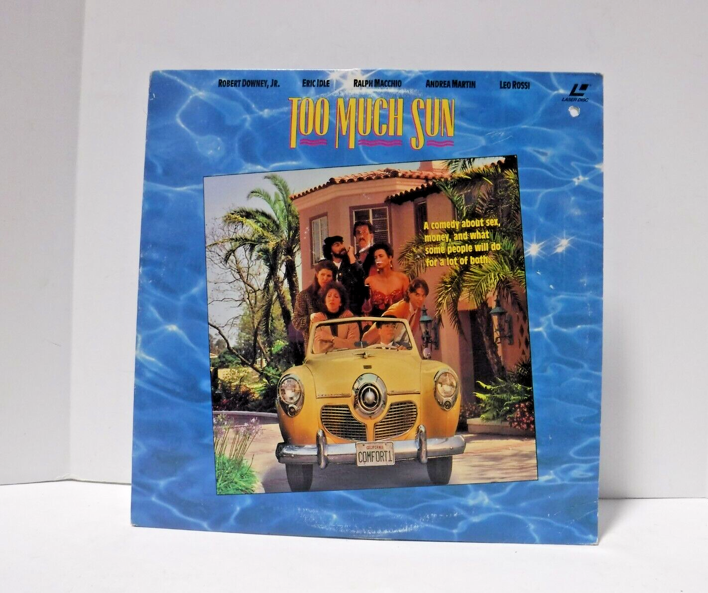 Too Much Sun 1990 Movie Laserdisc 072023ASR | eBay