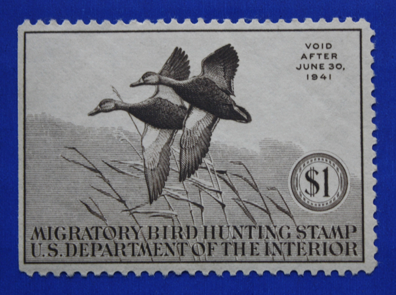 ハムダックページ U.S. (RW07) 1940 Federal Duck Stamp (MNH/OG) lot 1 | eBay